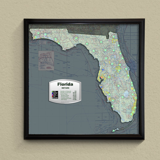 State METAR Map - Florida